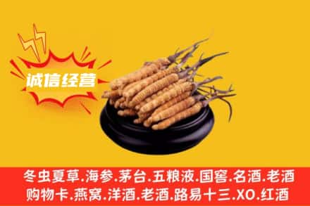 抚顺回收冬虫夏草